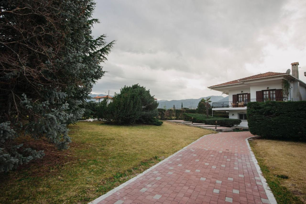 Mythic House Villa Leptokarya  Exterior photo